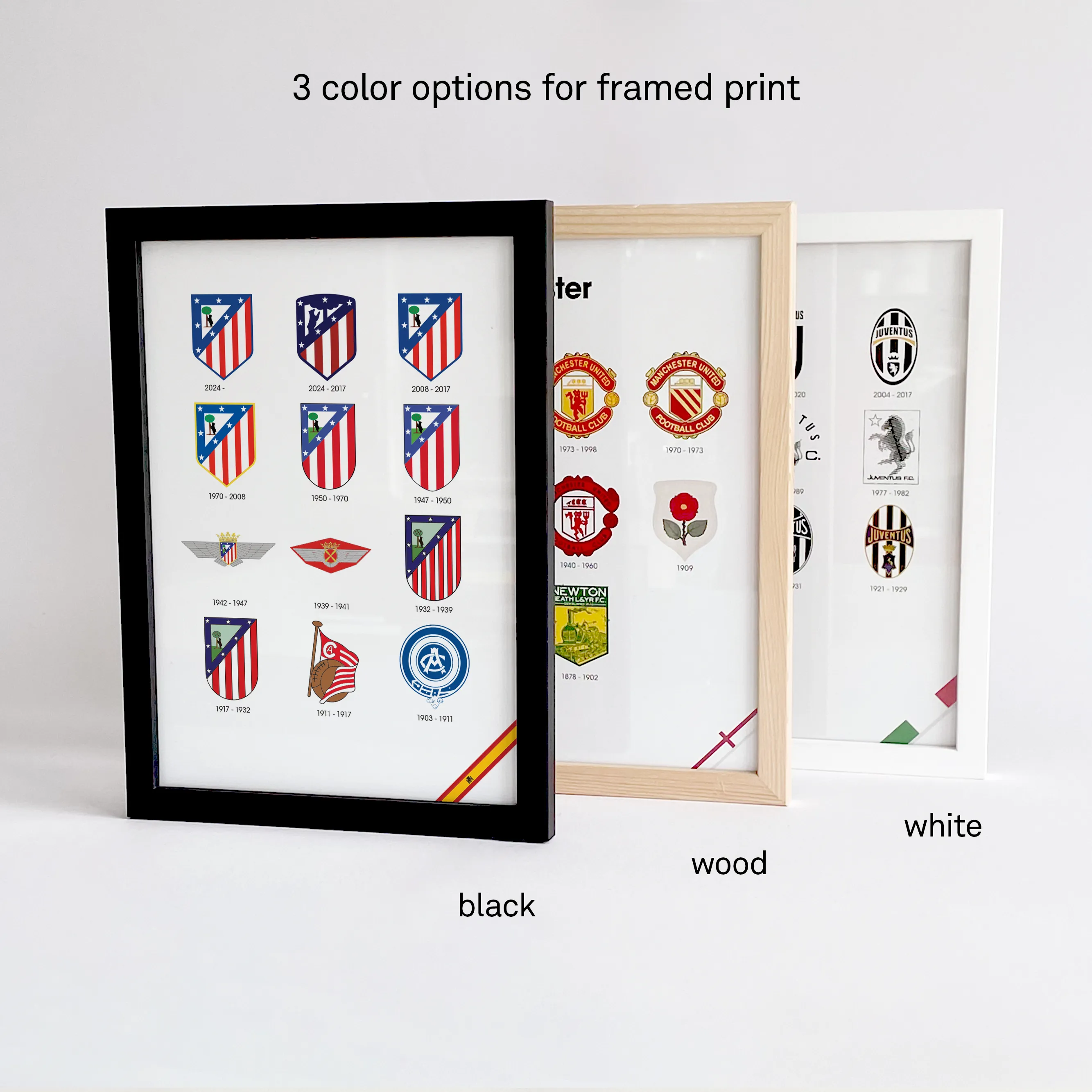 Frame color options thumbnail