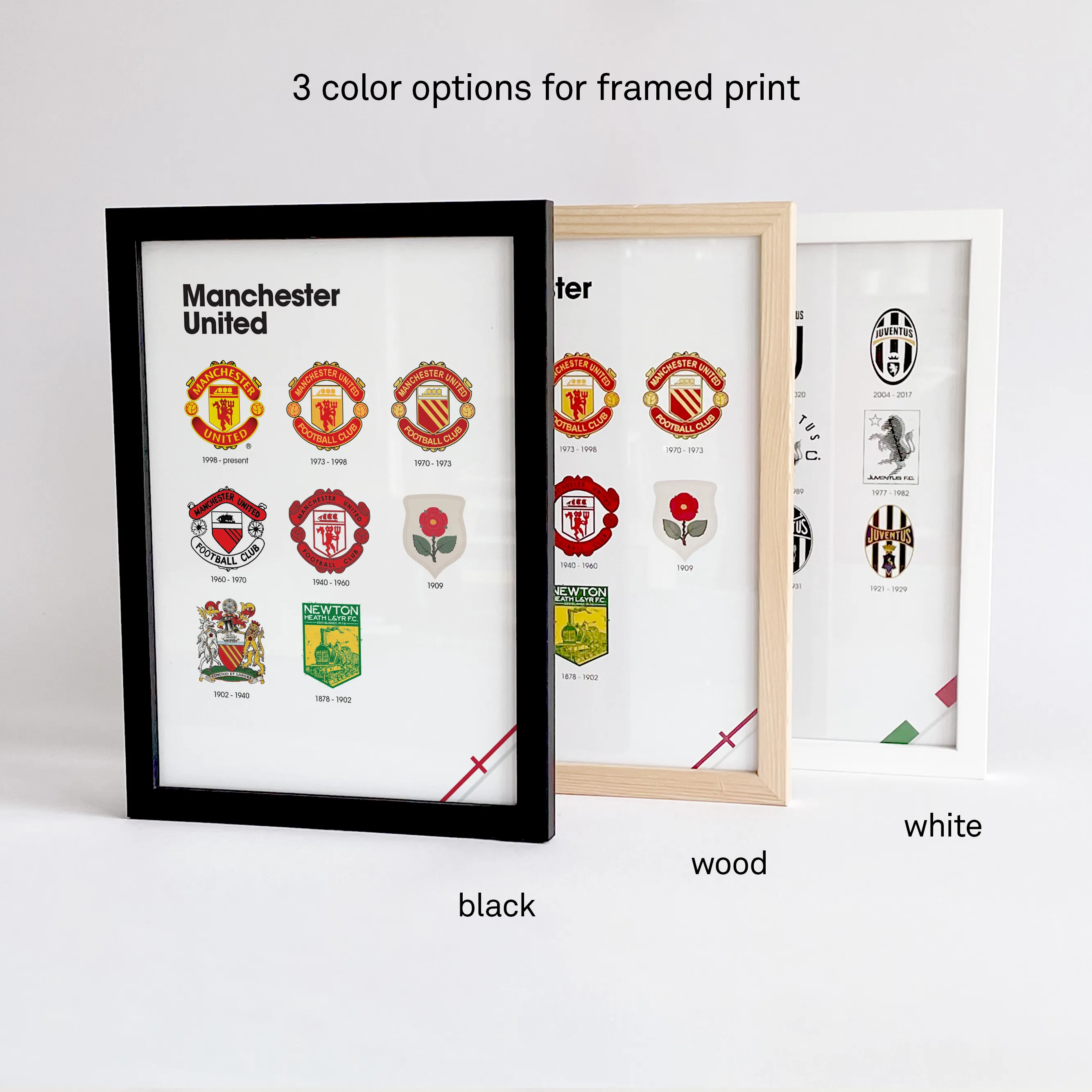 Frame color options thumbnail