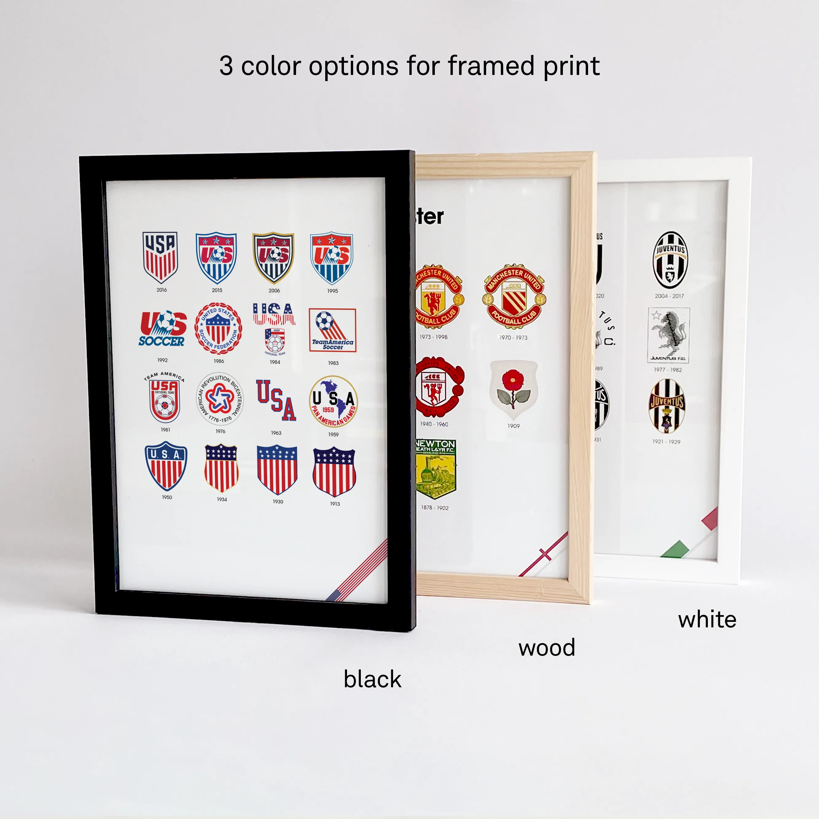 Frame color options thumbnail