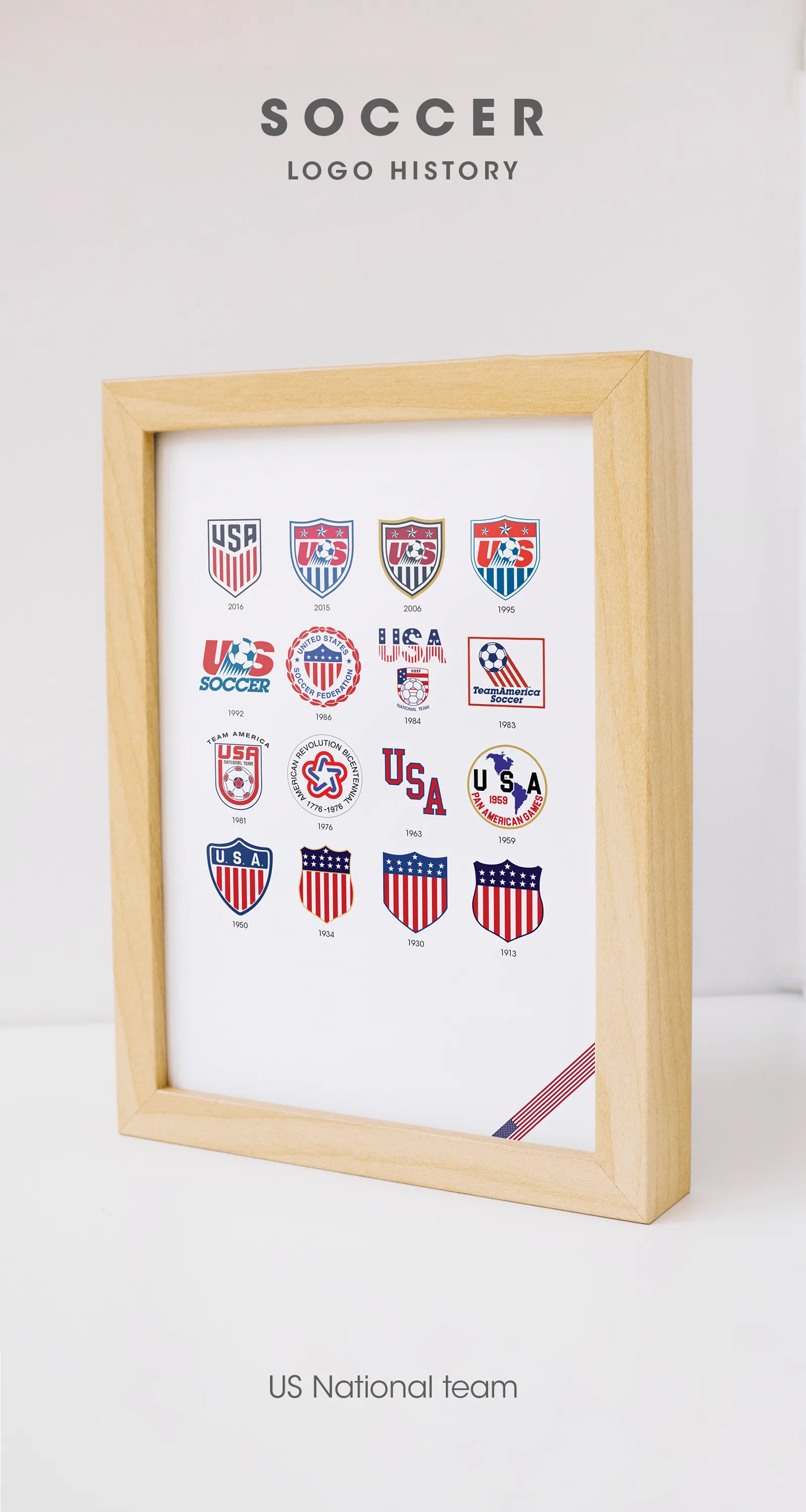 USA Soccer poster in room